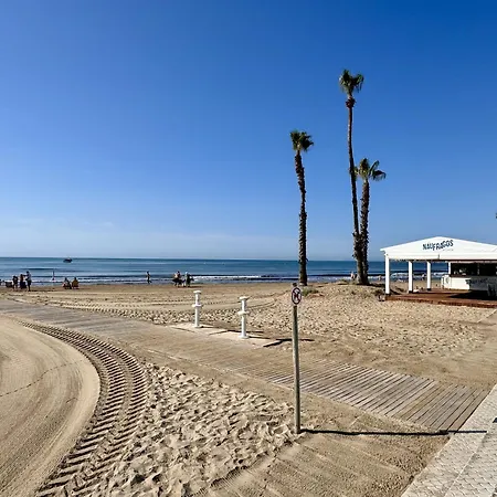 Cozy Summer * トレビエハ