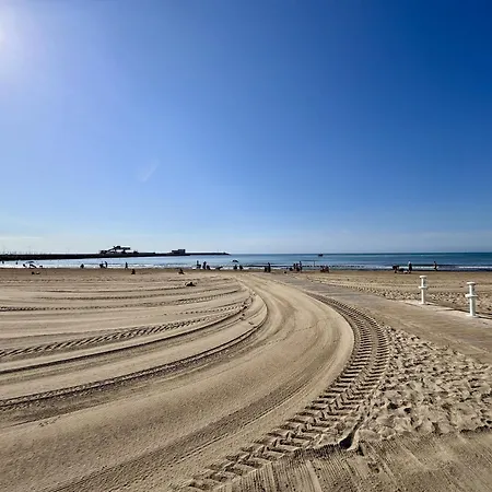 Cozy Summer トレビエハ